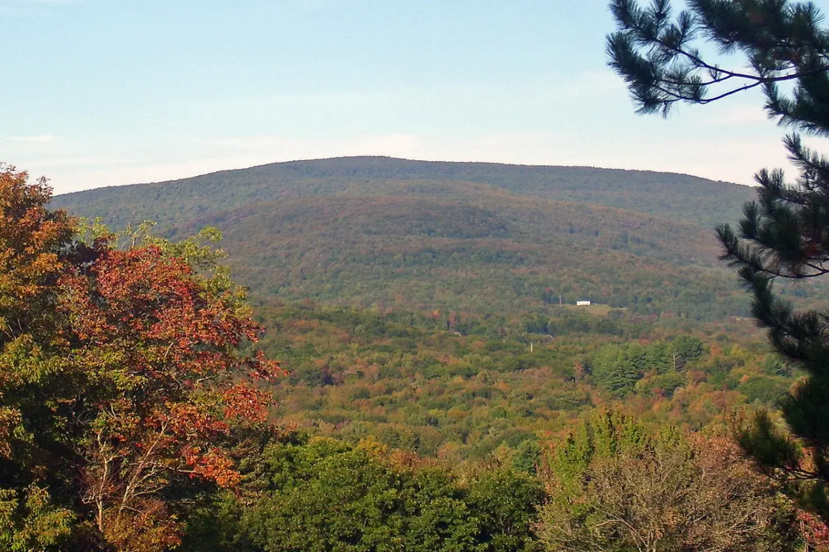 AutoTechPete mobile mechanic serving Pine Hill New York