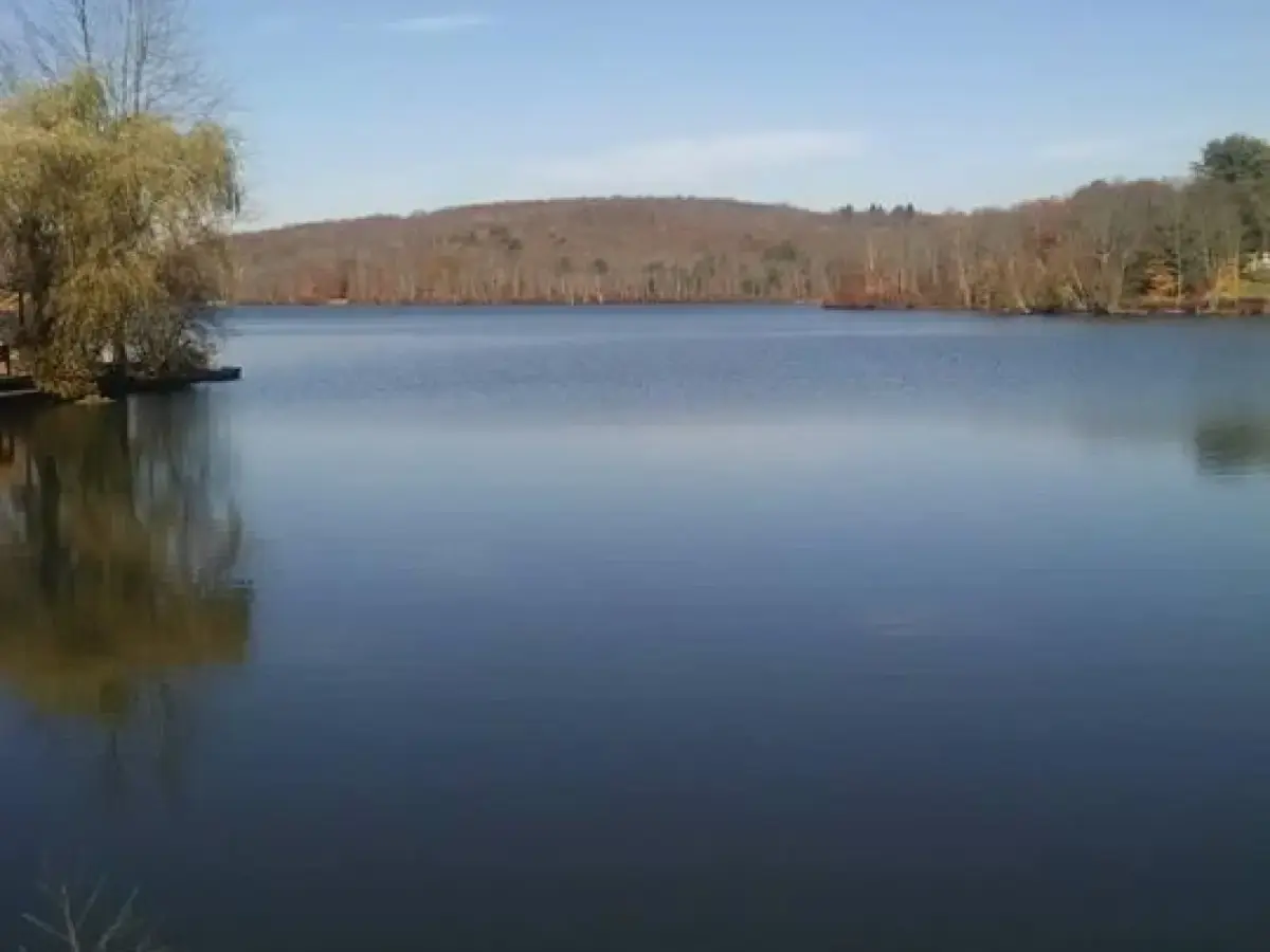 AutoTechPete mobile mechanic serving Swan Lake New York